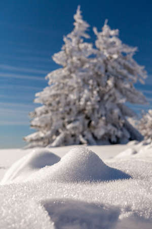 A snow covered landscape Czech Republic - Pustevny, Beskydy. High quality photoの写真素材