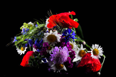 Summer bouquet isolated on black.の写真素材