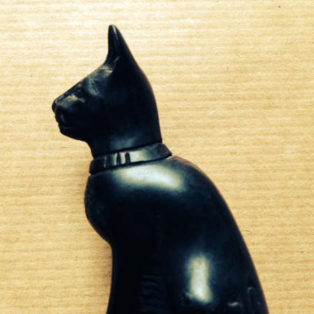 Catの素材