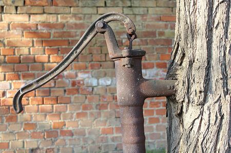 a closeup shot of a retro water pump growing into a treeの写真素材