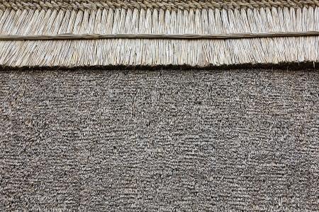 thatched roof of an old Hungarian houseの写真素材