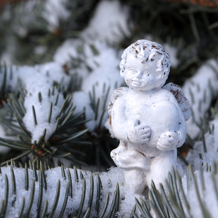 christmas with white angel on snowy fir treeの写真素材