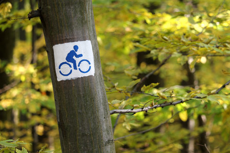 Bicycle path sign on the tree in the forest