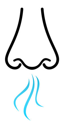 Vector illustration of smell symbols, nose, vapour smoke. Breathing aroma smell icon.のイラスト素材