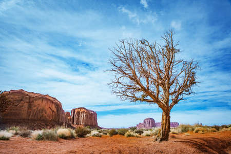 Monument Valleyの写真素材