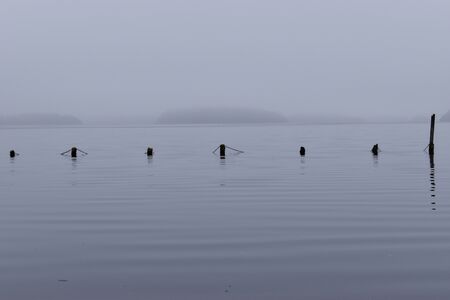 Lough Key in county Roscommon in Ireland foggy and flooded during winter with the swimming area submerged under waterの写真素材
