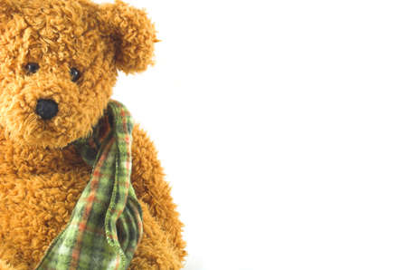 sweet teddy look at youの写真素材