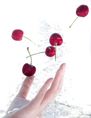 On one hand, cherries in the water  Isolated on whiteの写真素材