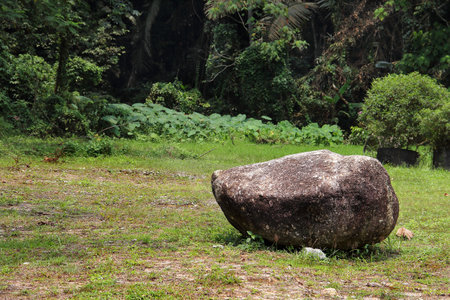 Isolated rock and green nature.の写真素材