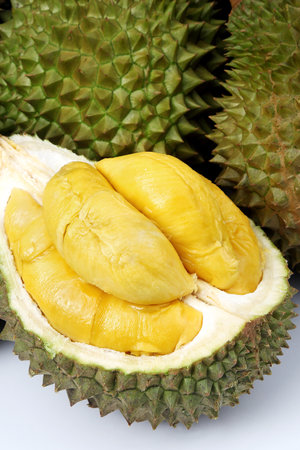 Durian, King of Fruits, is distinctive for its large size, strong odor and thorn-covered rind.の写真素材