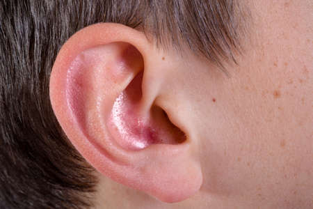 Young caucasian teenage boy's right earの写真素材