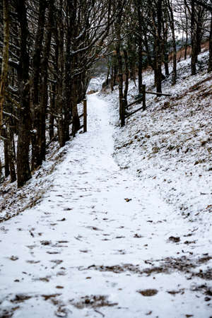 The Effects of The Beast From The East Storm on Dartmoor, United Kingdom 1st March 2018の写真素材
