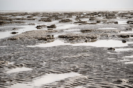 Exposed mudflats on the Isle of Grain at low tide