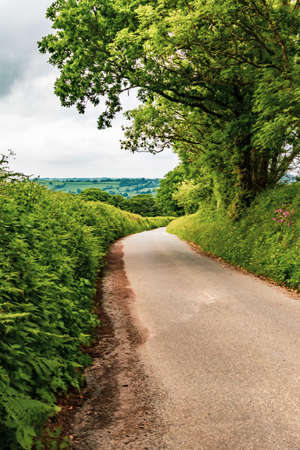 A view of the farmland inside Dartmoor National Park, Devon, United Kingdomの写真素材