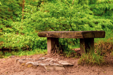 A bench in a peaceful setting in a wood in Dartmoor National Park