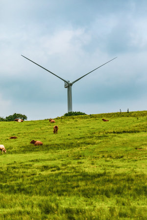 Wind turbines on Dartmoor National Park, Devon, United Kingdom