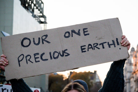 London, United Kingdom, November 17th:- Extinction Rebellion protesters block Westminster Bridge in...
