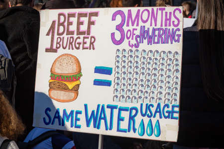 London, UK, United Kingdom 15th February 2019:- Striking school aged children in central London over climate change holding a placardのeditorial素材