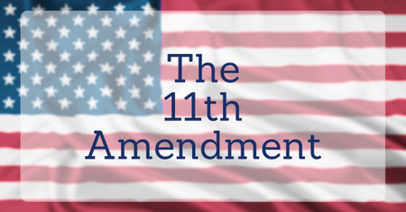 The United States Flag, overlaid with text reading The 11th Amendment