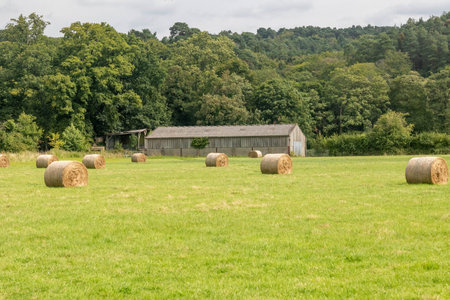 Round bales of hay,  in a field located near Farnham, Surrey UK.の写真素材