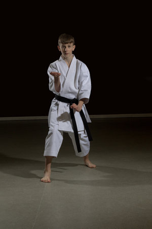 Fifteen year old male teenage karate black belt performing kata Enpi, studio shot against a black backgroundの写真素材