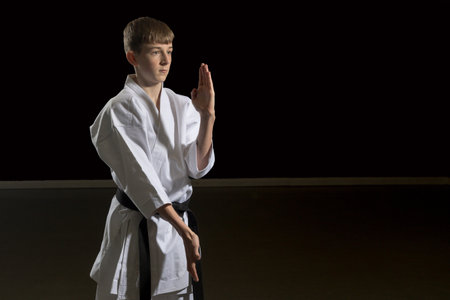 Fifteen year old male teenage karate black belt doing double open hand block, studio shot against a black backgroundの写真素材