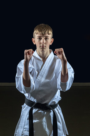 Fifteen year old male teenage karate black belt, studio shot against a black backgroundの写真素材