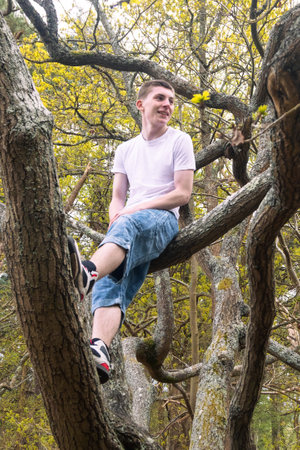 A teenage boy sitting in a tree in a public park, wearing a white t-shirt and blue denimの写真素材