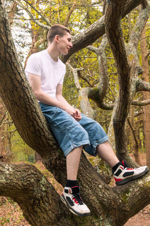 A teenage boy sitting in a tree in a public park, wearing a white t-shirt and blue denimの写真素材