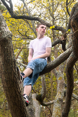 A teenage boy sitting in a tree in a public park, wearing a white t-shirt and blue denimの写真素材