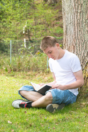 Teenage boy sitting against a tree while reading a bookの写真素材