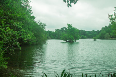 A small lake or large pond in a public country parkの写真素材