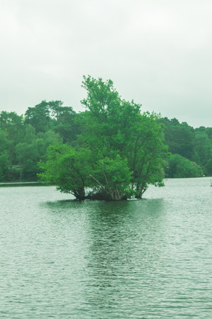 A small lake or large pond in a public country parkの写真素材