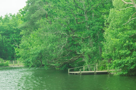 A small lake or large pond in a public country parkの写真素材