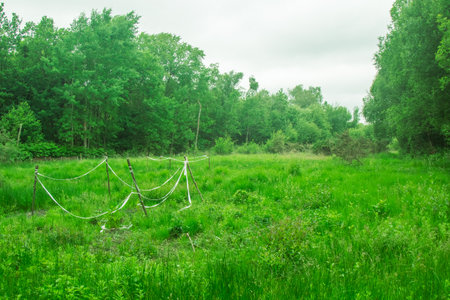 Part of a nature trail through natural woodland in a public country parkの写真素材