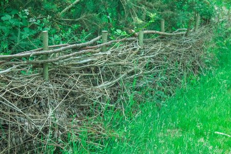 A tradional fence made from felled wood against the edge of a nature trailの写真素材