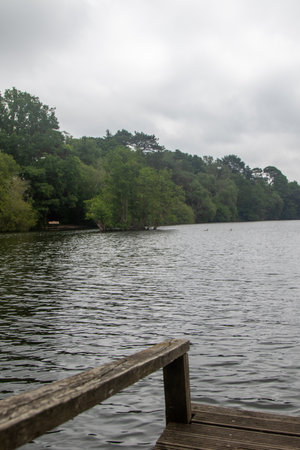 A small lake or large pond in a public country parkの写真素材