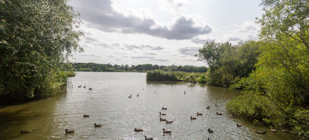 A view of the lake at Fleet Pond Local Nature Reserve and A Site of Special Scientific Interest