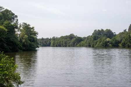 A view of Virginia Water Lake, Part of Windsor Great Park and the Crown Estateの写真素材
