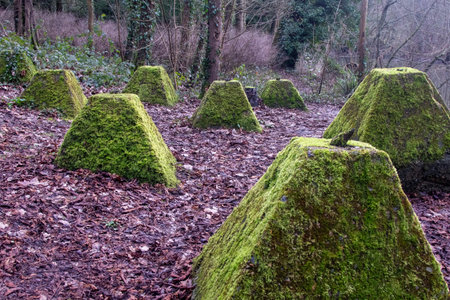 Old World War 2 Anti Tank Defences. Dragons Teeth, Located Near The River Wey in Guildford, United...