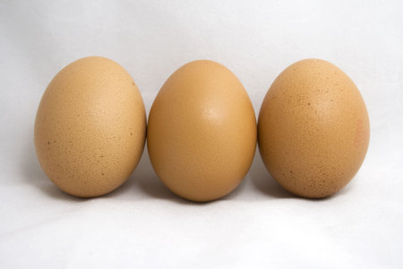 Three eggs in a roll on white background