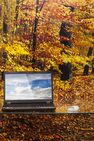 laptop on a glass table on background of forestの写真素材