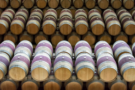 set of wine barrels at a cellar