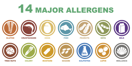 set of 14 major allergens icons on white backgroundのイラスト素材