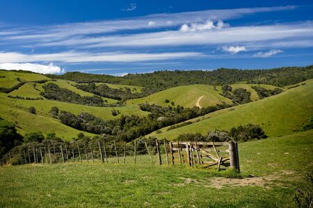 Green fields and rolling hills in New Zealandの写真素材