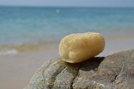 Natural loofah sponge with beach background