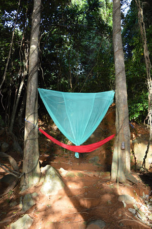 Hammock with mosquito net is hanging between two trees in the jungleの写真素材