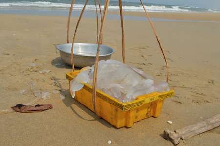 Jellyfish cut in pieces redy to sellの写真素材