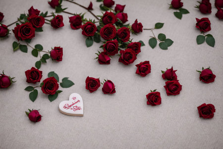 Valentine's day background with red roses and hearts on white backgroundの素材