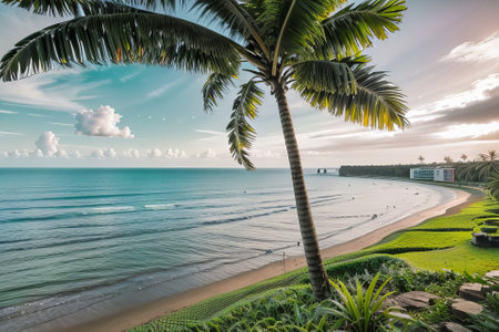 Beautiful tropical beach with coconut palm tree and sea in morning timeの素材